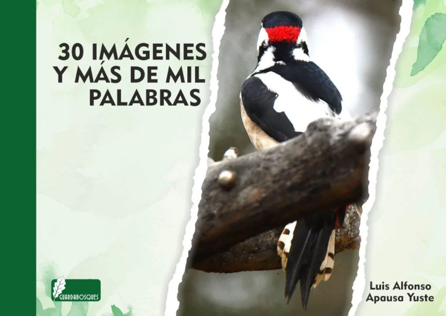 30 IMÁGENES Y MÁS DE MIL PALABRAS 1