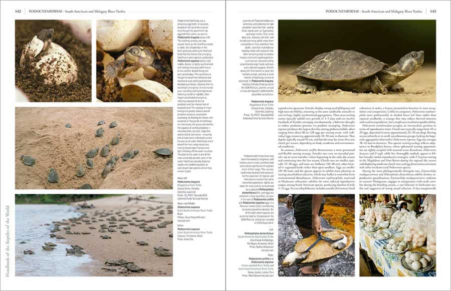HANDBOOK OF THE REPTILES OF THE WORLD. TURTLES AND CROCODILES 3