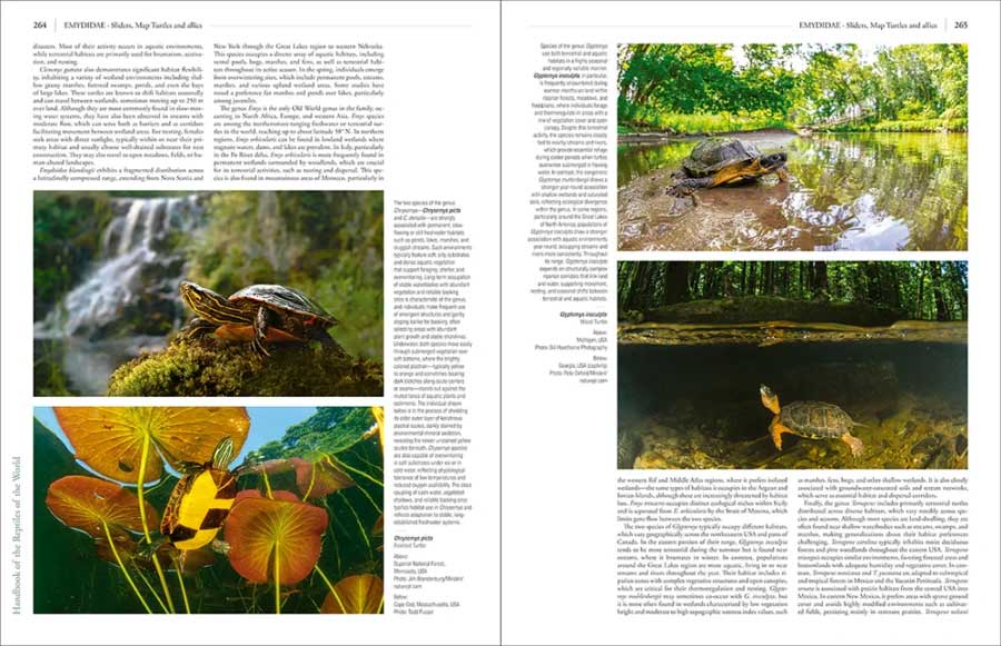 HANDBOOK OF THE REPTILES OF THE WORLD. TURTLES AND CROCODILES 4