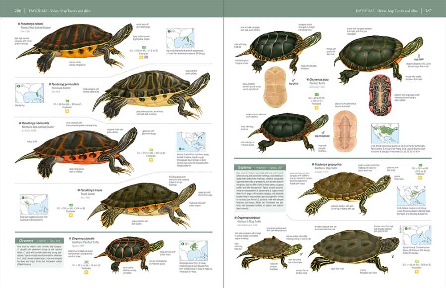 HANDBOOK OF THE REPTILES OF THE WORLD. TURTLES AND CROCODILES 5