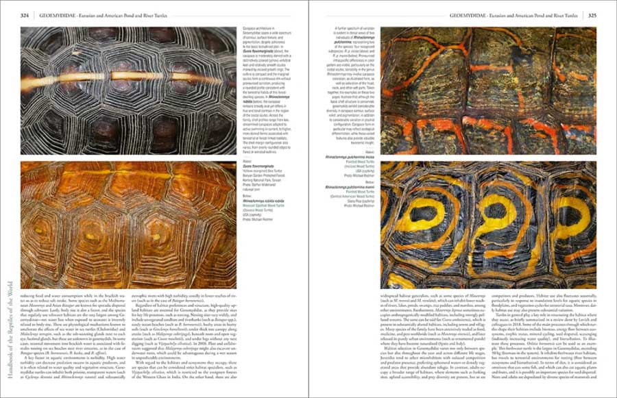 HANDBOOK OF THE REPTILES OF THE WORLD. TURTLES AND CROCODILES 6