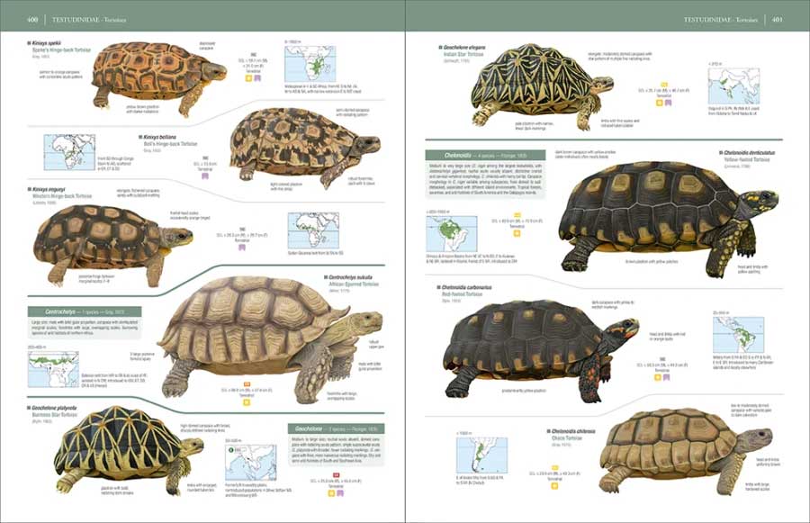 HANDBOOK OF THE REPTILES OF THE WORLD. TURTLES AND CROCODILES 8