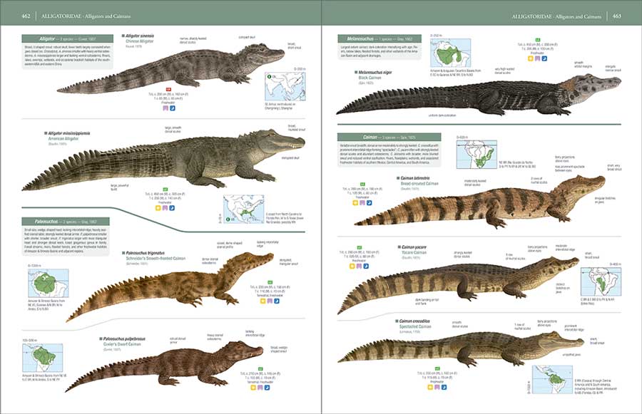 HANDBOOK OF THE REPTILES OF THE WORLD. TURTLES AND CROCODILES 10
