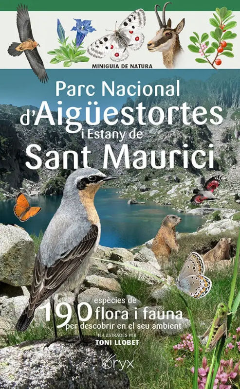MINIGUIA DE NATURA DEL PARC NACIONAL D'AIGÜESTORTES I ESTANY DE SANT MAURICI. 190 ESPÈCIES DE FLORA I FAUNA A DESCOBRIR EN EL SEU AMBIENT. 1