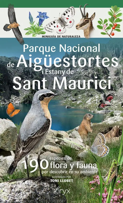 MINIGUÍA DE NATURALEZA DEL PARQUE NACIONAL D'AIGÜESTORTES I ESTANY DE SANT MAURICI. 190 ESPECIES DE FLORA Y FAUNA POR DESCUBRIR EN SU AMBIENTE. 1