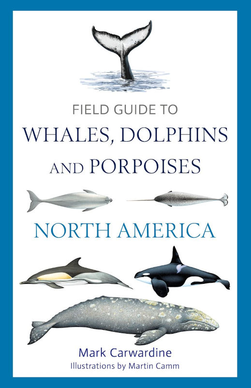 WHALES DOLPHINS AND PORPOISES OF NORTH AMERICA 1