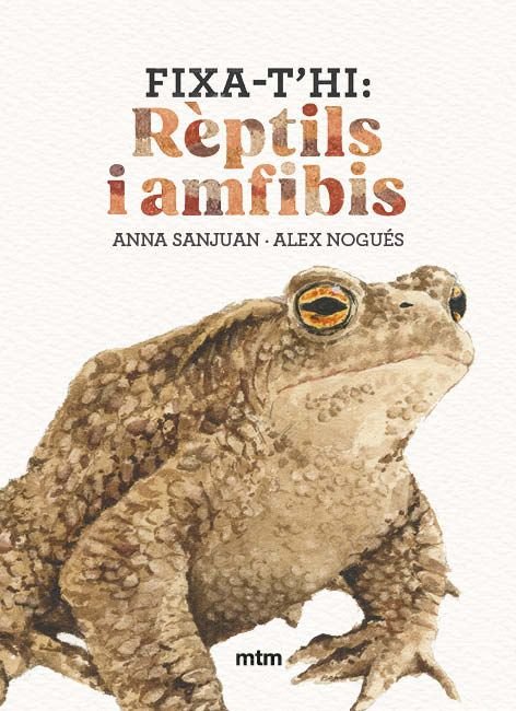 FIXA-T'HI: RÈPTILS I AMFIBIS 1
