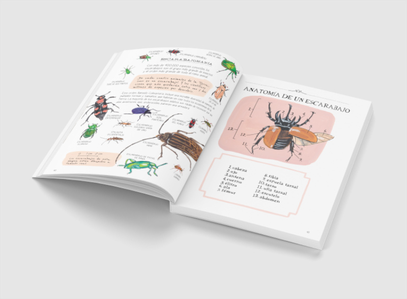 LA VIDA DE LOS BICHOS. SECRETOS Y CURIOSIDADES DEL MUNDO DE LAS ABEJAS, LOS ESCARABAJOS, LAS MARIPOSAS Y DEMÁS INSECTOS 2