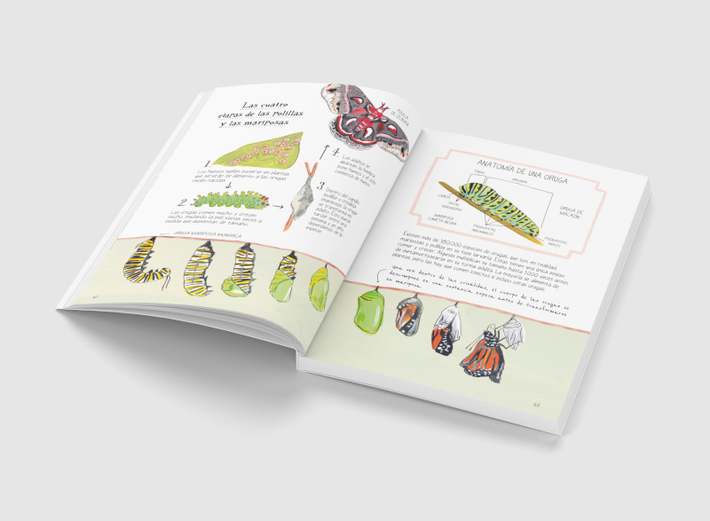 LA VIDA DE LOS BICHOS. SECRETOS Y CURIOSIDADES DEL MUNDO DE LAS ABEJAS, LOS ESCARABAJOS, LAS MARIPOSAS Y DEMÁS INSECTOS 3