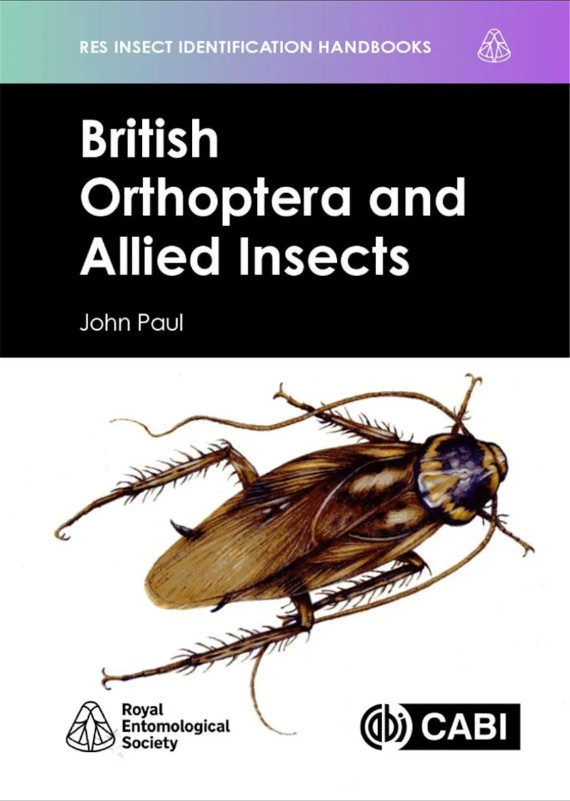 BRITISH ORTHOPTERA AND ALLIED INSECTS 1