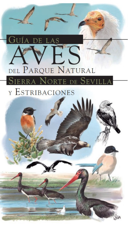 GUÍA DE LAS AVES DEL PARQUE NATURAL SIERRA NORTE DE SEVILLA Y ESTRIBACIONES 1