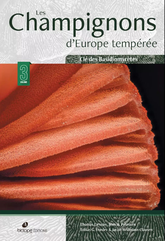 LES CHAMPIGNONS D'EUROPE TEMPÉRÉE. TOME 3 1
