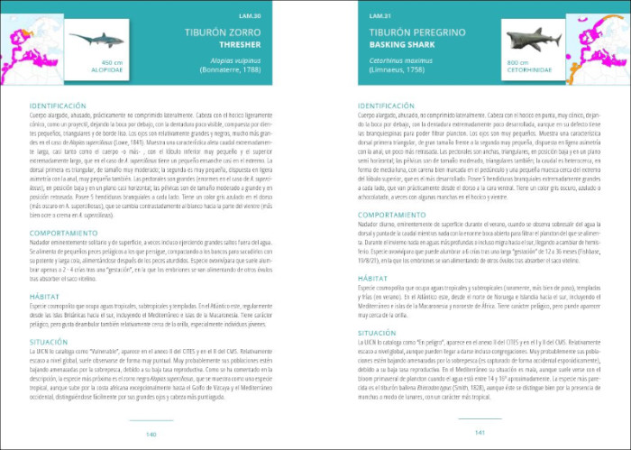 GUÍA DE LOS PECES COSTEROS DE EUROPA Y NORTE DE ÁFRICA 3