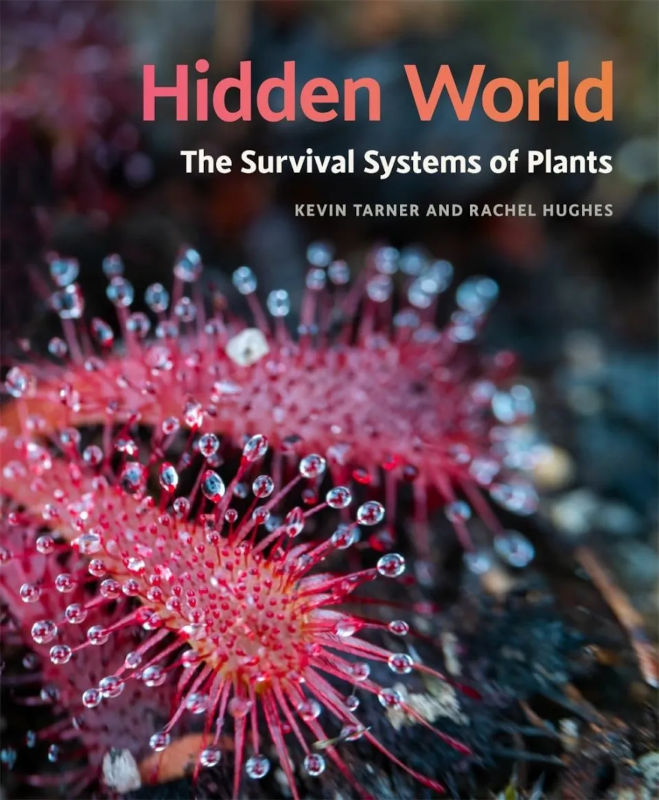 HIDDEN WORLD. THE SURVIVAL OF SYSTEMS OF PLANTS 2