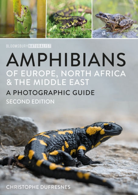 AMPHIBIANS OF EUROPE, NORTH AFRICA &AMP; THE MIDDLE EAST. A PHOTOGRAPHIC GUIDE. 2ND EDITION 1