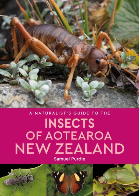 A NATURALIST'S GUIDE TO THE INSECTS OF ATEAROA, NEW ZEALAND 1