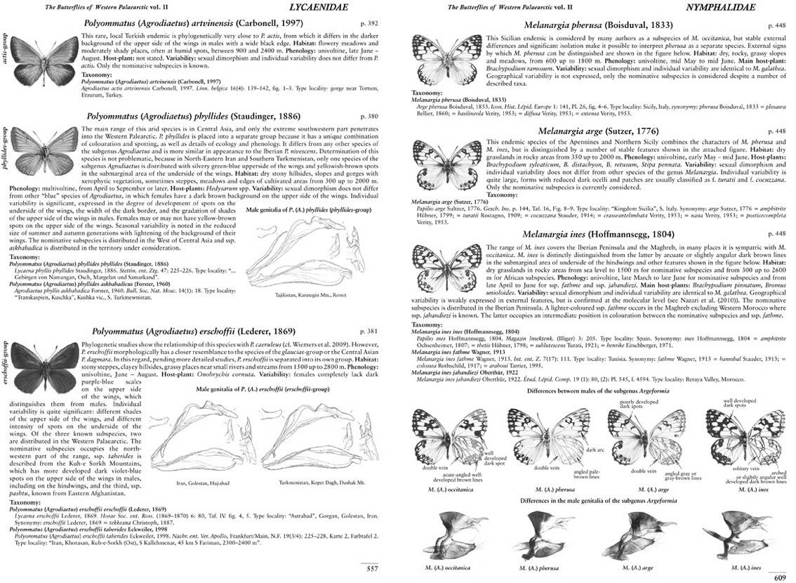 BUTTERFLIES OF THE WESTERN PALAEARCTIC. VOLUME 2: LYCENIDAE (AGRODIATEUS), RIODINIDAE, NYMPHALIDAE: LIBYTHEINAE, DANAINAE, CHARAXINAE, APATURINAE, LIM 5