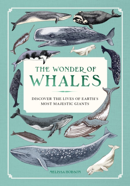 THE WONDER OF WHALES. DISCOVER THE LIVES OF EARTH'S MOST MAGESTIC GIANTS 1
