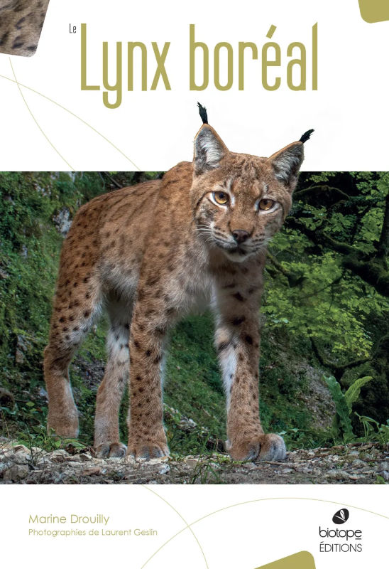 LE LYNX BORÉAL 1