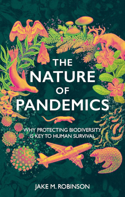 THE NATURE OF PANDEMICS. WHY PROTECTING BIODIVERSITY IS KEY TO HUMAN SURVIVAL 1