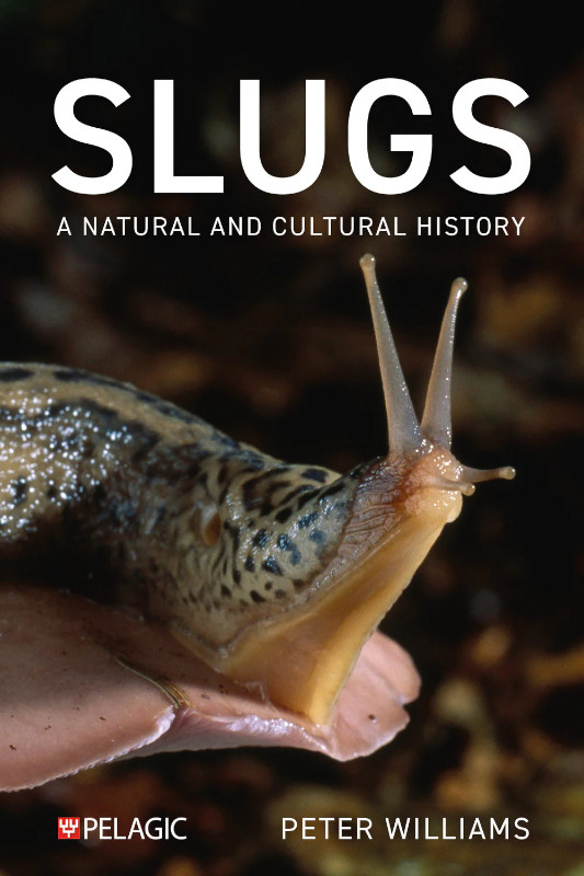 SLUGS: A NATURAL AND CULTURAL HISTORY 1