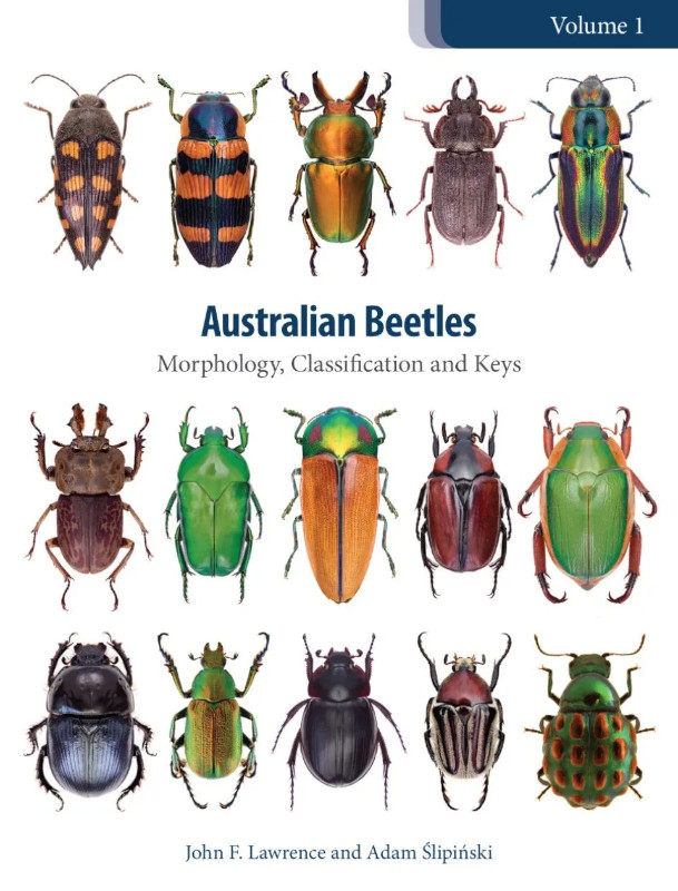 AUSTRALIAN BEETLES VOLUME 1: MORPHOLOGY, CLASSIFICATION AND KEYS 1