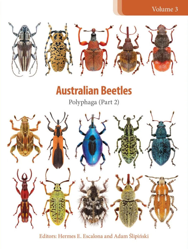 AUSTRALIAN BEETLES VOLUME 3: POLYPHAGA (PART 2) 1