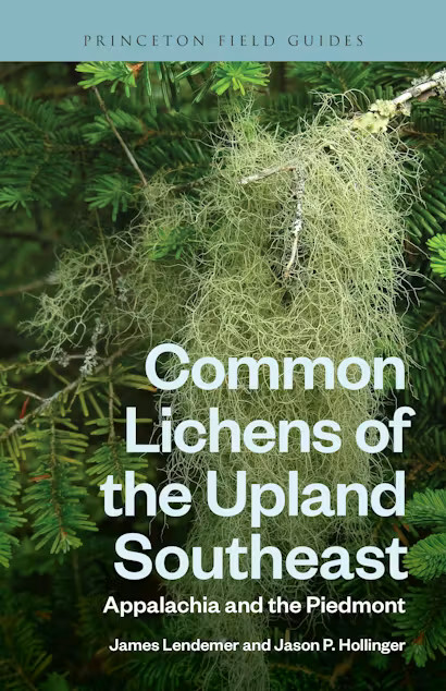 COMMON LICHENS OF THE UPLAND SOUTEAST: APPALACHIA AND THE PIEDMONT 1