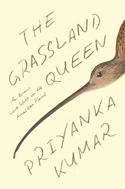THE GRASSLAND QUEEN: AN AVIAN LOVE STORY IN THE AMERICAN PLAINS 1
