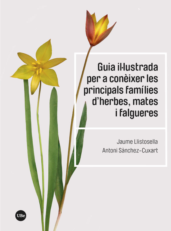 GUIA IL·LUSTRADA PER A CONÈIXER LES PRINCIPALS FAMÍLIES D'HERBES, MATES I FALGUERES 1