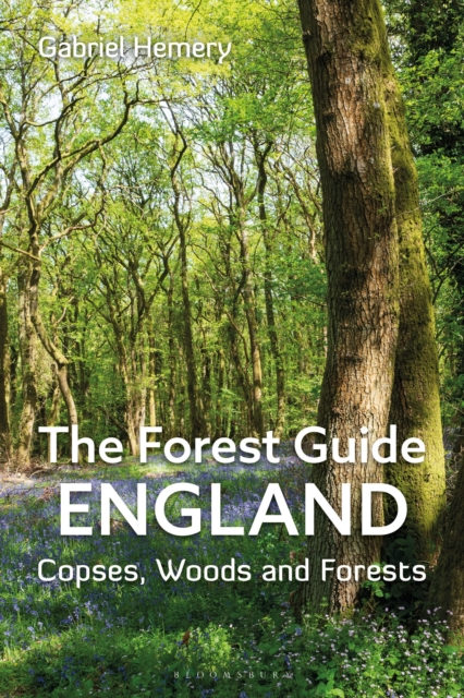 THE FOREST GUIDE. ENGLAND. COPSES, WOODS AND FORESTS 1