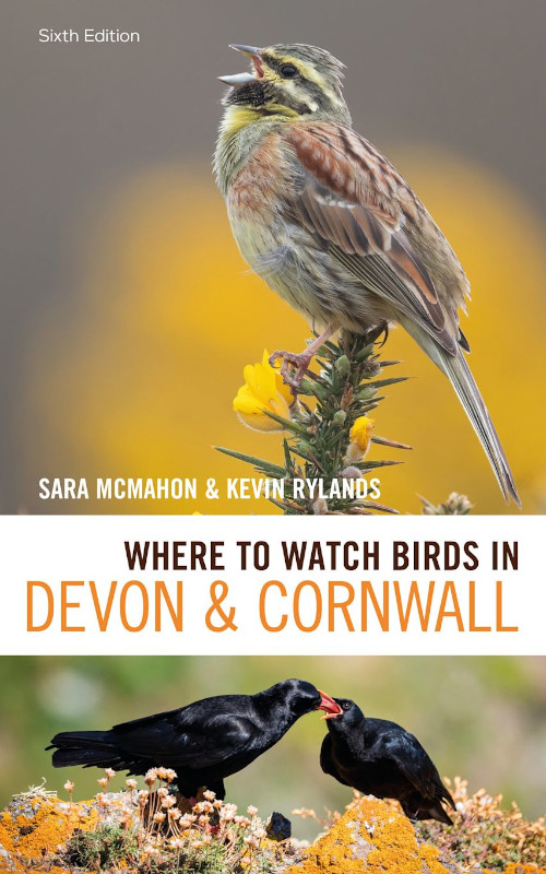 WHERE TO WATCH BIRDS IN DEVON AND CORNWALL 1