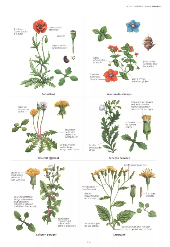LE GRAND GUIDE DE LA NATURE 2