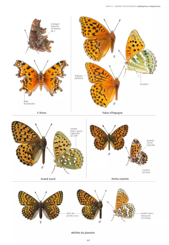 LE GRAND GUIDE DE LA NATURE 3