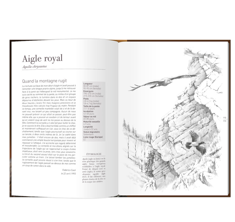 LES RAPACES D'EUROPE - TOME 1: RAPACES DIURNES 3