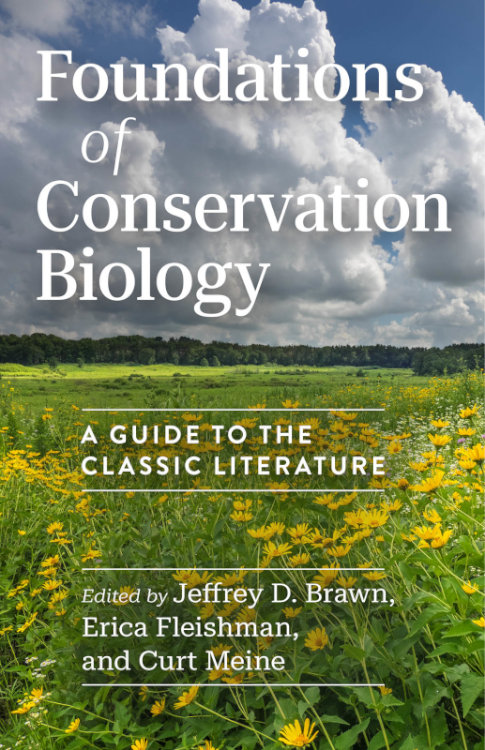 FOUNDATIONS OF CONSERVATION BIOLOGY. A GUIDE TO THE CLASSIC LITERATURE 1