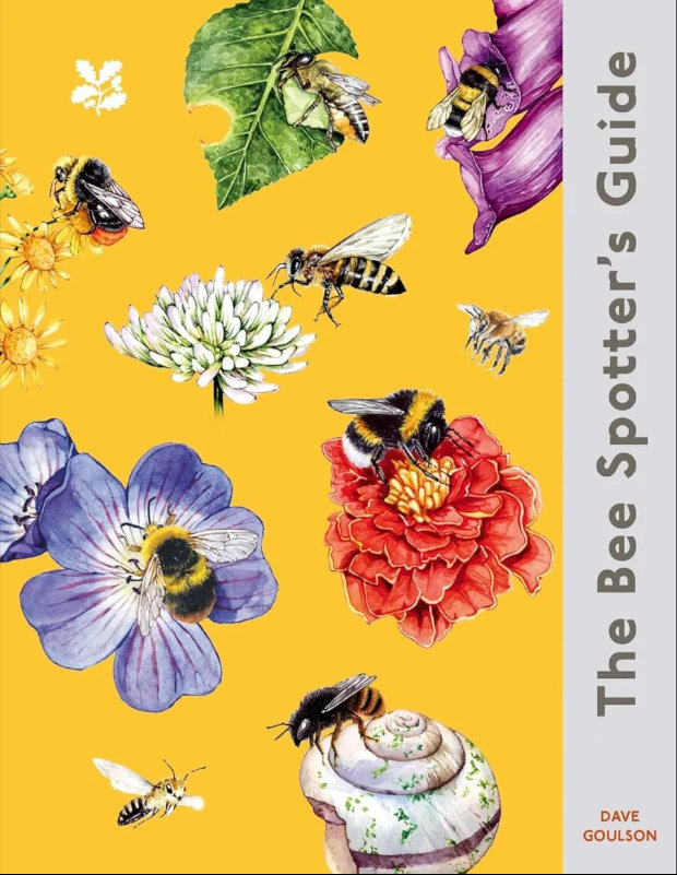 THE BEE SPOTTER'S GUIDE 1