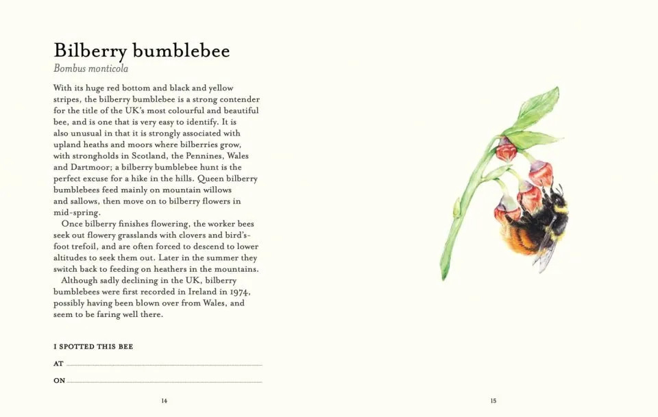 THE BEE SPOTTER'S GUIDE 2