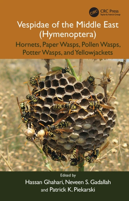 VESPIDAE OF THE MIDDLE EAST (HYMENOPTERA). HORNETS, PAPER WASPS, POLLEN WASPS, POTTER WASPS, AND YELLOWJACKETS 1