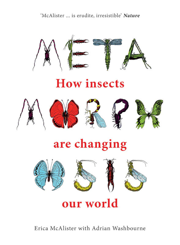 METAMORPHOSIS. HOW INSECTS ARE CHANGING OUR WORLD 1