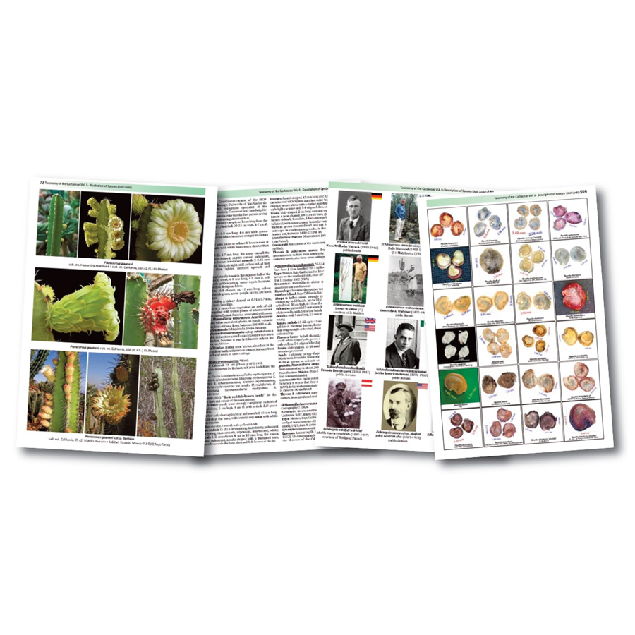 TAXONOMY OF THE CACTACEAE. THE NEW CLASSIFICATION OF CACTI MAINLY BASED ON MOLECULAR DATA AND EXPLAINED. VOL. 3-4-5-6 6