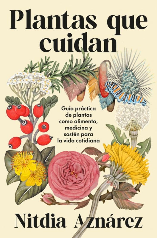 PLANTAS QUE CUIDAN. GUÍA PRÁCTICA DE PLANTAS COMO ALIMENTO, MEDICINA Y SOSTÉN PARA LA VIDA COTIDIANA 1