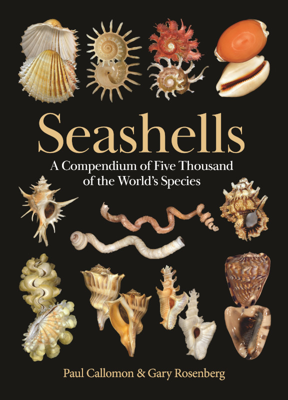 SEASHELLS. A COMPENDIUM OF FIVE THOUSAND OF THE WORLD'S SPECIES 1