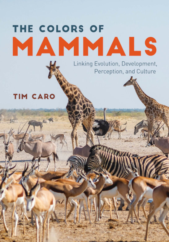 THE COLORS OF MAMMALS. LINKING EVOLUTION, DEVELOPEMENT, PERCEPTION AND CULTURE 1