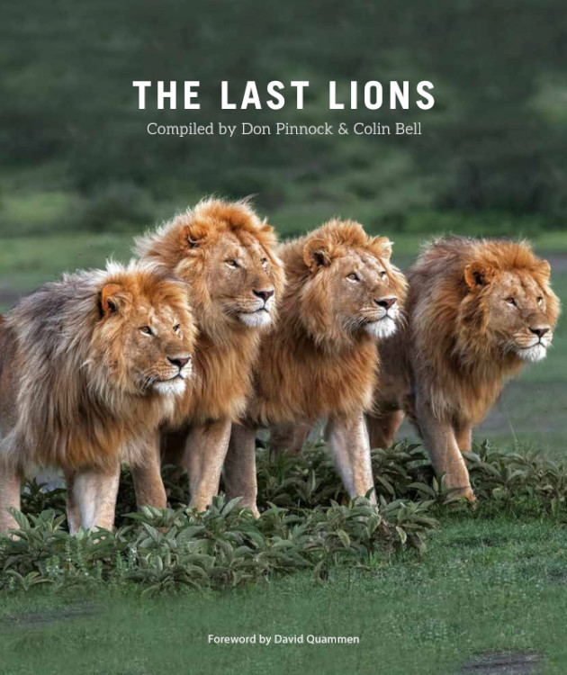 THE LAST LIONS 1