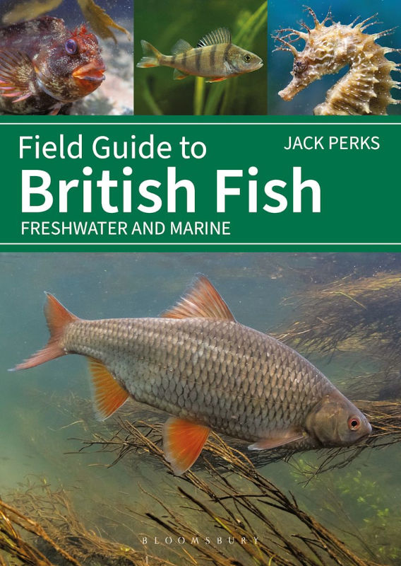 FIELD GUIDE TO BRITISH FISH. FRESHWATER AND MARINE 1