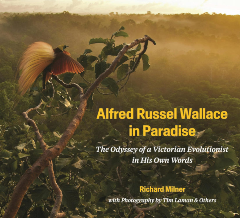ALFRED RUSSEL WALLACE IN PARADISE: THE ODYSSEY OF A VICTORIAN EVOLUTIONIST IN HIS OWN WORDS 1