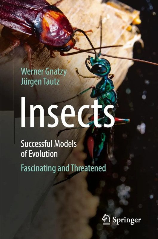 INSECTS. SUCCESSFUL MODELS OF EVOLUTION 1