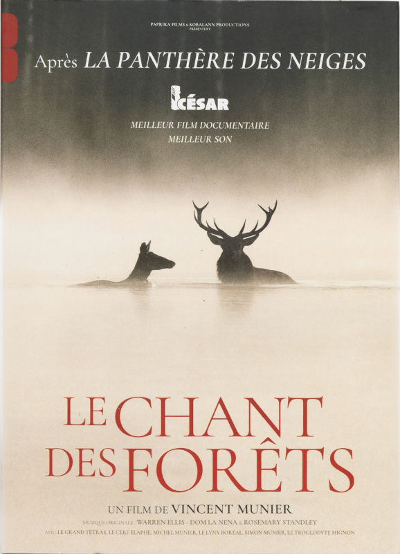 LE CHANT DES FORÊTS DVD 1
