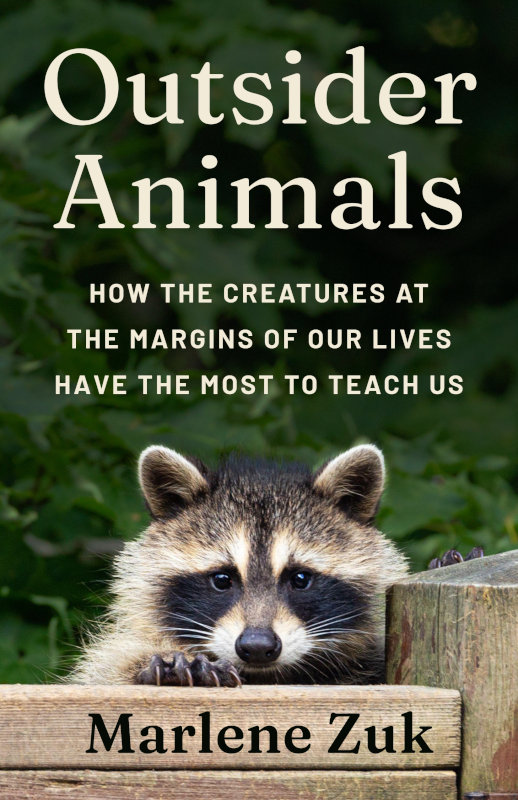OUTSIDER ANIMALS. HOW THE CREATURES AT THE MARGINS OF OUR LIVES HAVE THE MOST TO TEACH US 1